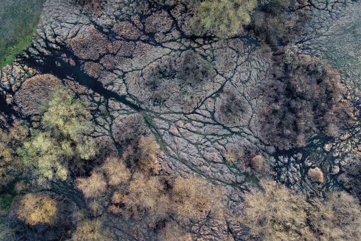 Fotó: Jakab Gusztáv