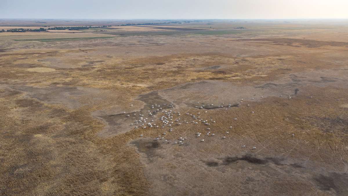 Fotó: Jakab Gusztáv