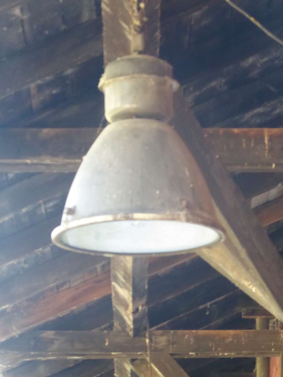 Fotó: Tamáska Máté