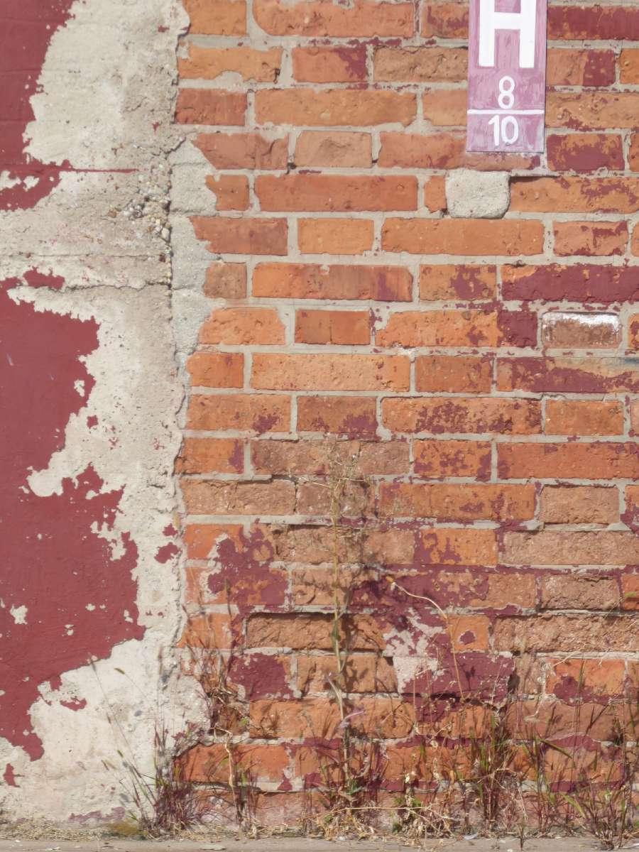 Fotó: Tamáska Máté