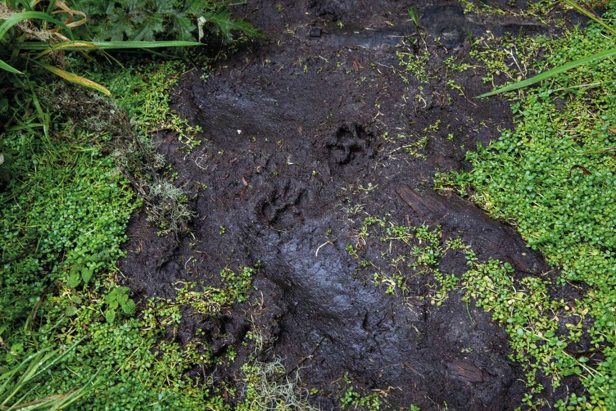 Fotó: Radics Tamás – Rada