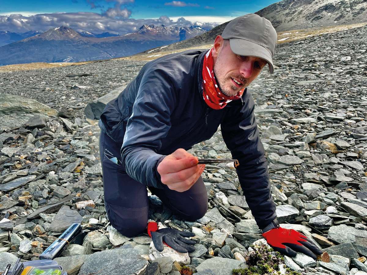 Elcsípett zsákmány – A köves tundra sem élettelen. A nyáron felengedő, nedves felszínen, a kövek alatt van mozgás! Az itteni fajok a szubantarktiszi szigetvilág élőlényeivel rokonok Fotó: Nagy Balázs