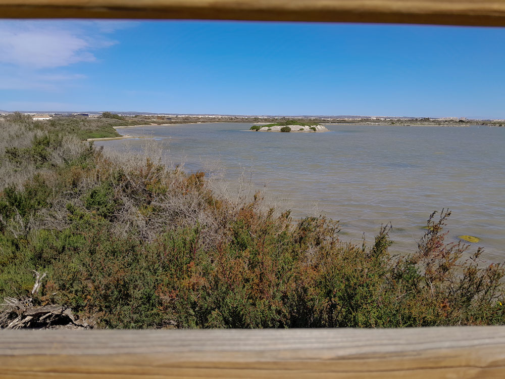 Fotó: Szigeti Ferenc Albert